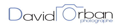 Logo David Orban