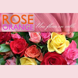 Rose orange logo