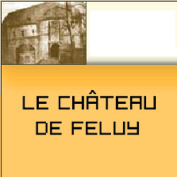 Château de Feluy logo