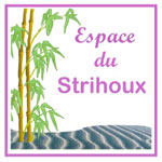 Espace Du Strihoux logo
