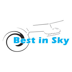 Best in sky logo