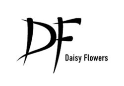 Daisy Flowers