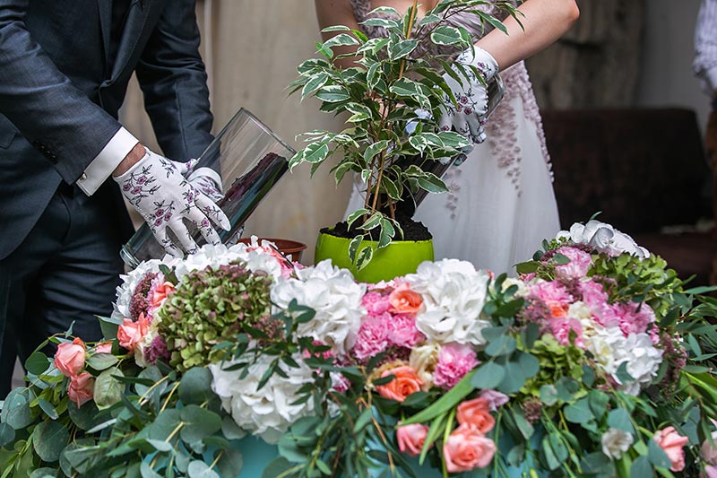 La cérémonie de la rose