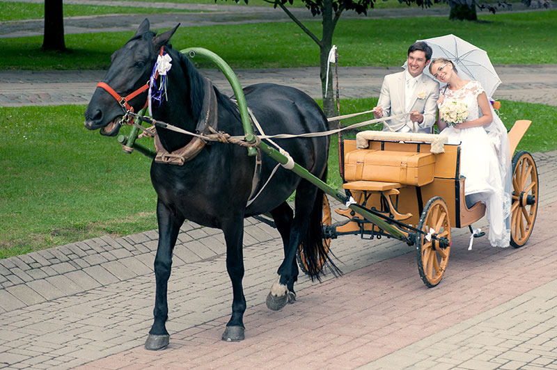 Choisissez une arrivée en calèche pour votre mariage
