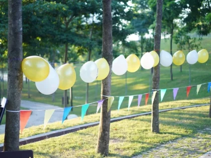 invitation-fete-surprise